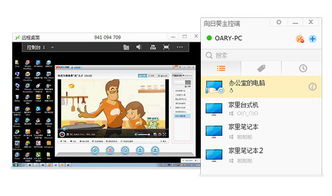 向日葵客户端电脑版 10.2.1.24275 正式版下载与功能指南